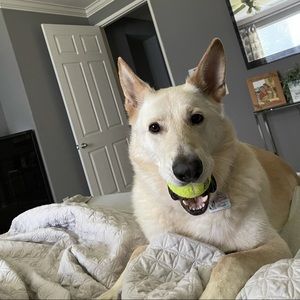 Meet your Posher, Andrew